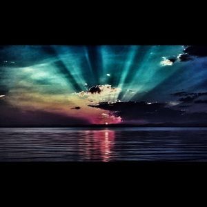 Meet your Posher, Wayne